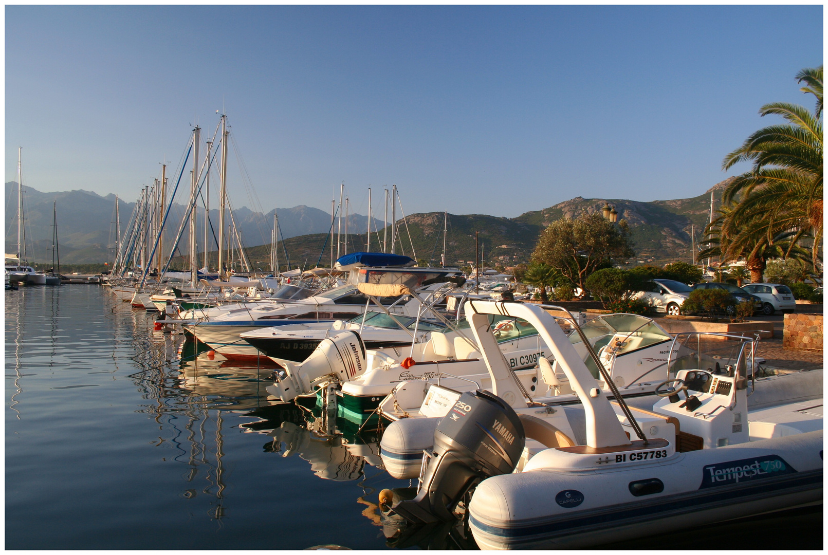 Morgendlicher Hafen von Calvi