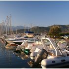 Morgendlicher Hafen von Calvi