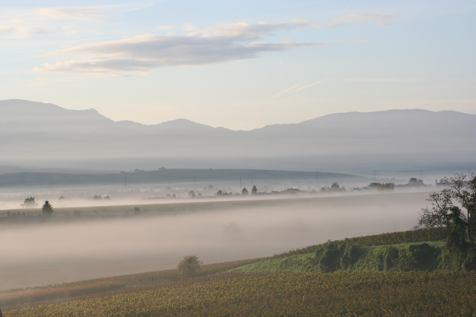 Morgendlicher Herbstdunst.