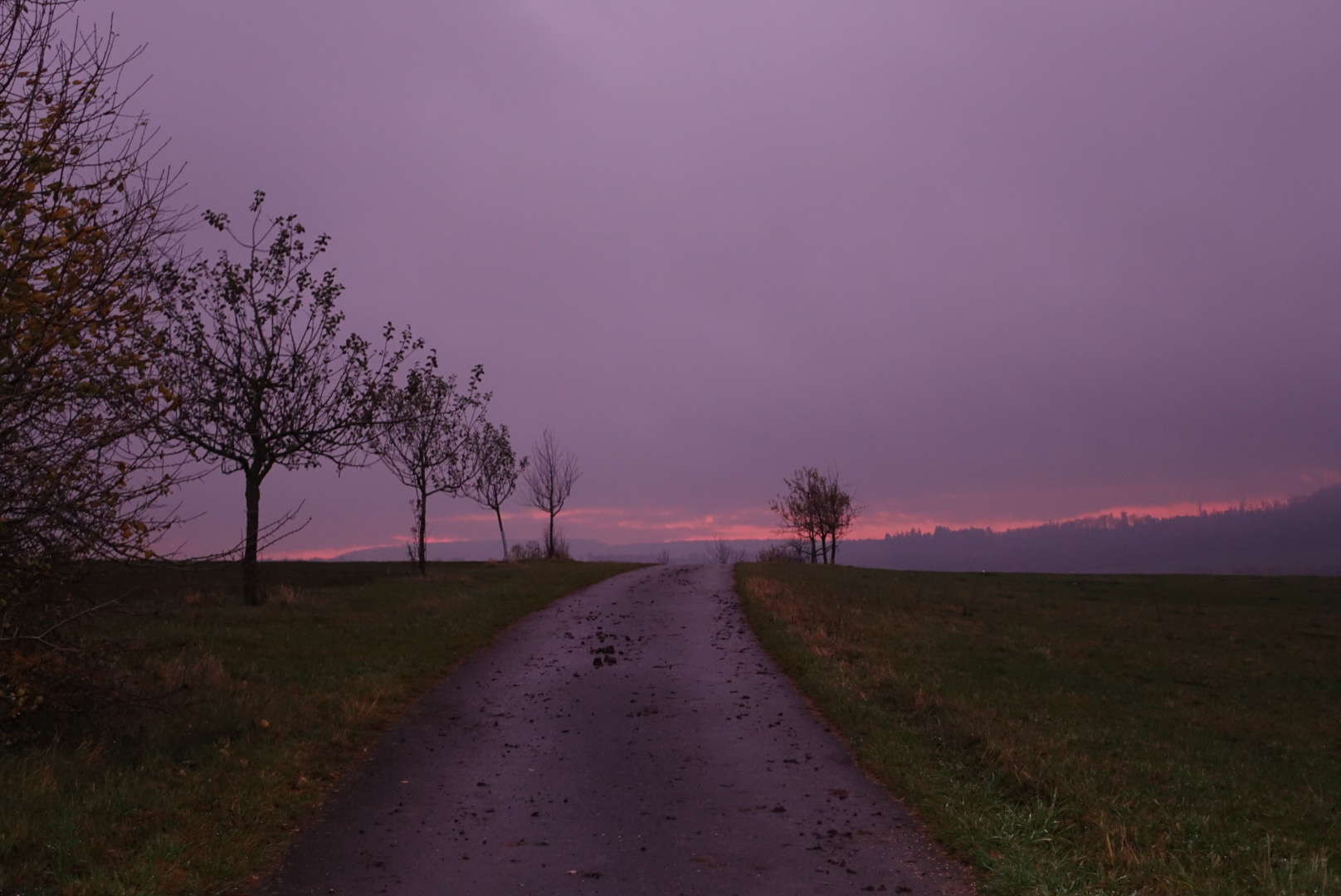 Morgendlicher Herbstspaziergang