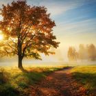 Morgendlicher Herbstspaziergang - KI