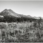 Morgendlicher Merapi - Indonesien