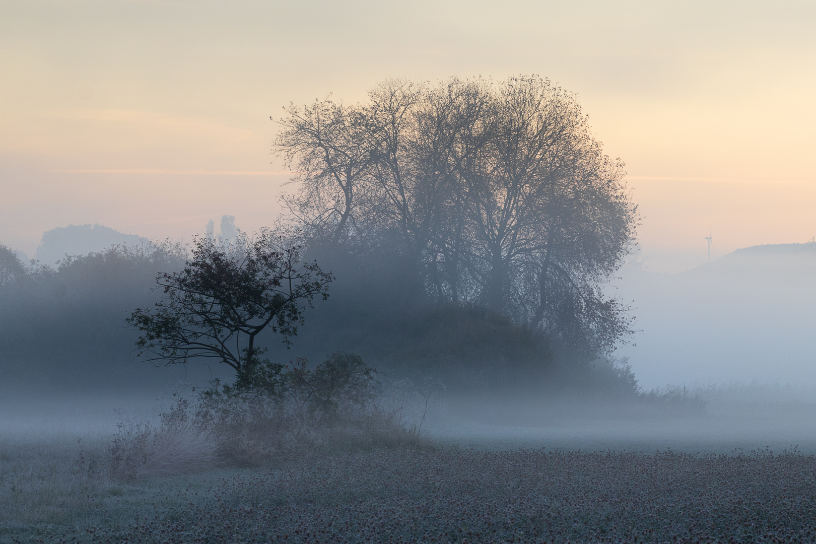 Morgendlicher Nebel