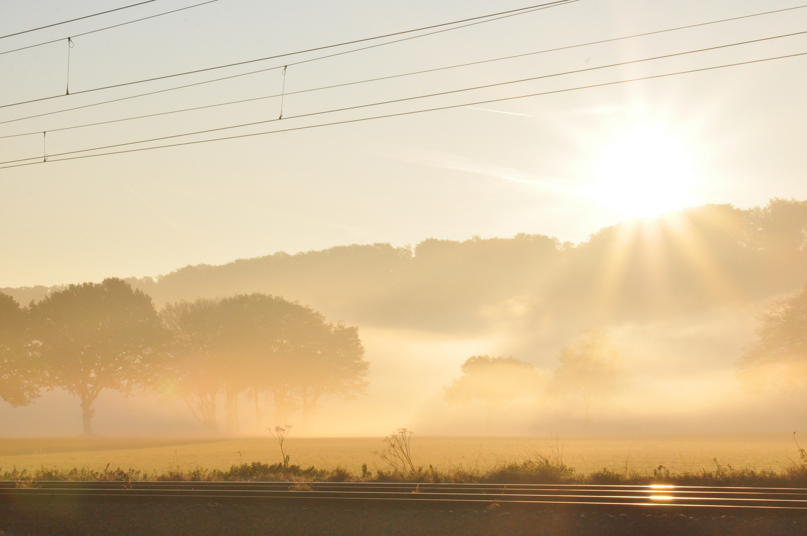 Morgendlicher Nebel