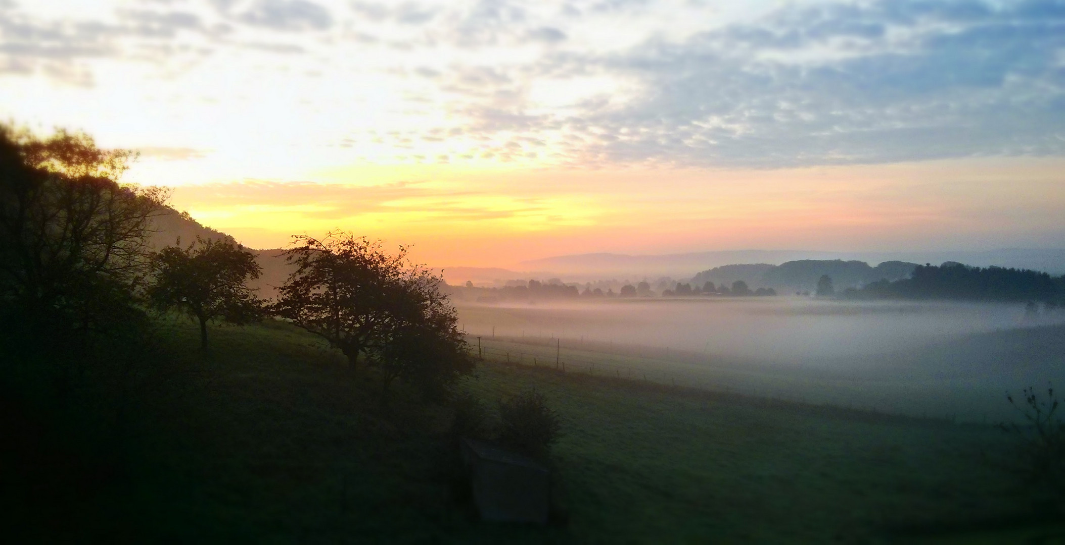 Morgendlicher Nebel