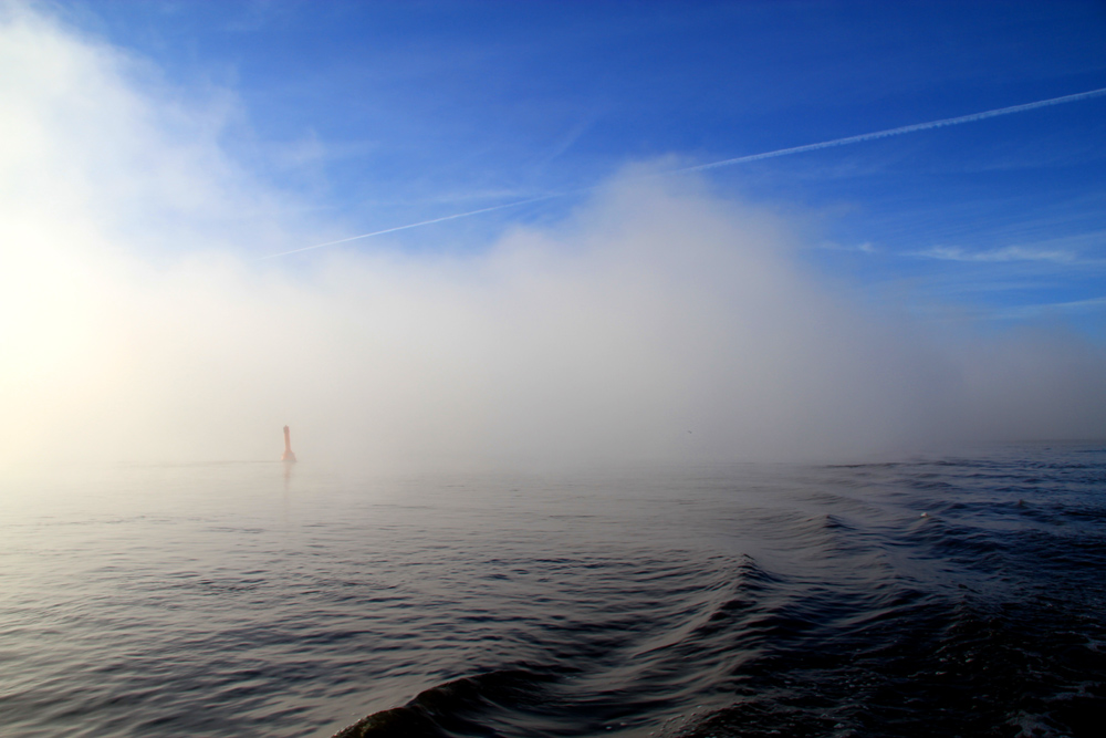 Morgendlicher Nebel auf der Weser