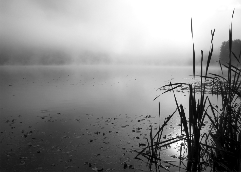 Morgendlicher Nebel auf / über dem Silbersee