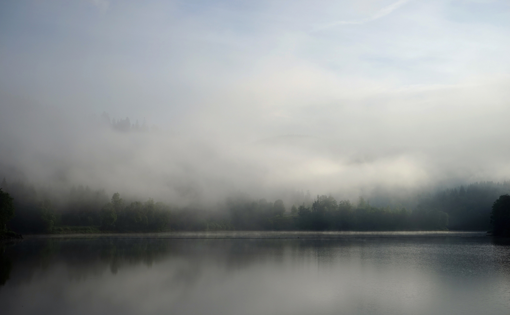 morgendlicher Nebel