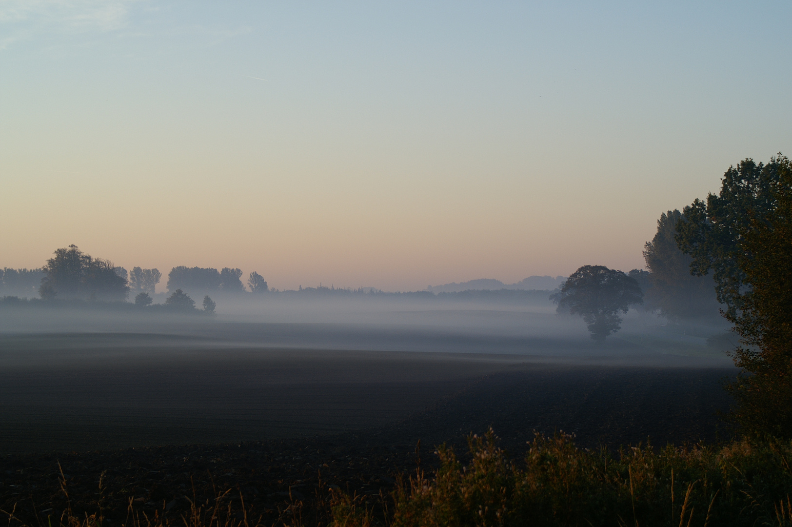 Morgendlicher Nebel