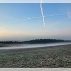 morgendlicher Nebel im Fadenkreuz