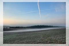 morgendlicher Nebel im Fadenkreuz