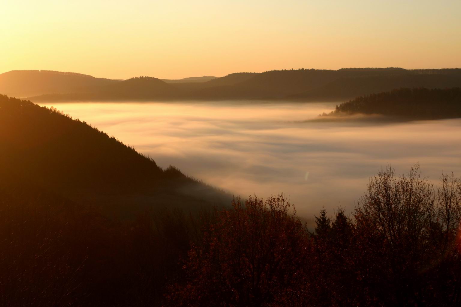 Morgendlicher Nebel im Pfälzer Wald, fotografiert von der Burg Lemberg