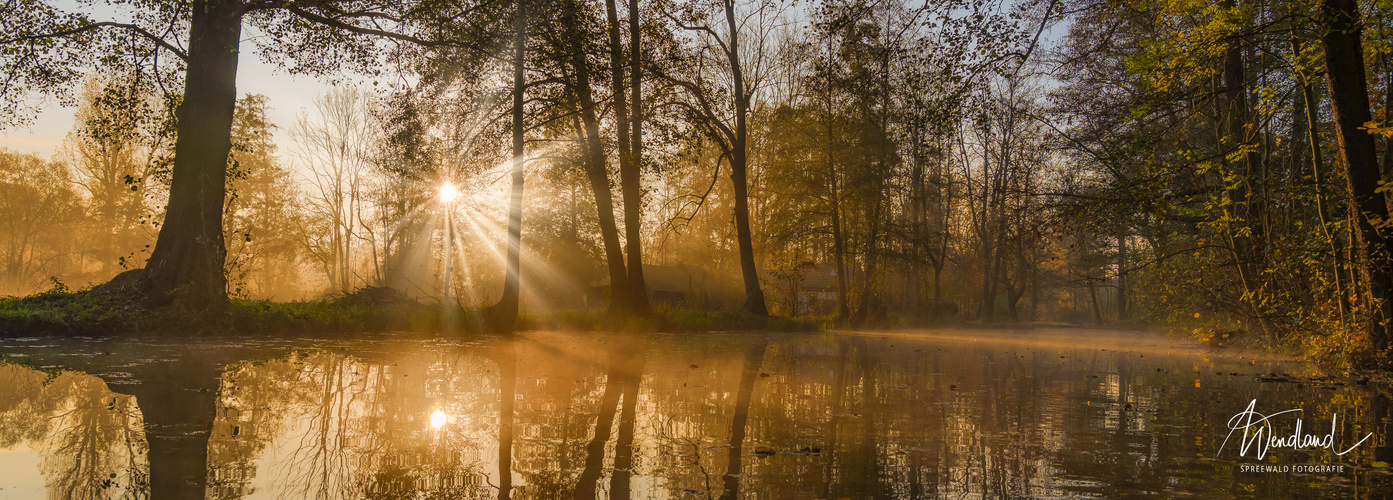 morgendlicher Nebel im Spreewald