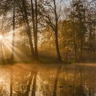 morgendlicher Nebel im Spreewald