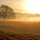 morgendlicher Nebel über den Feuchtwiesen der Aa (Borken-Gemen)