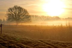 morgendlicher Nebel über den Feuchtwiesen der Aa (Borken-Gemen)