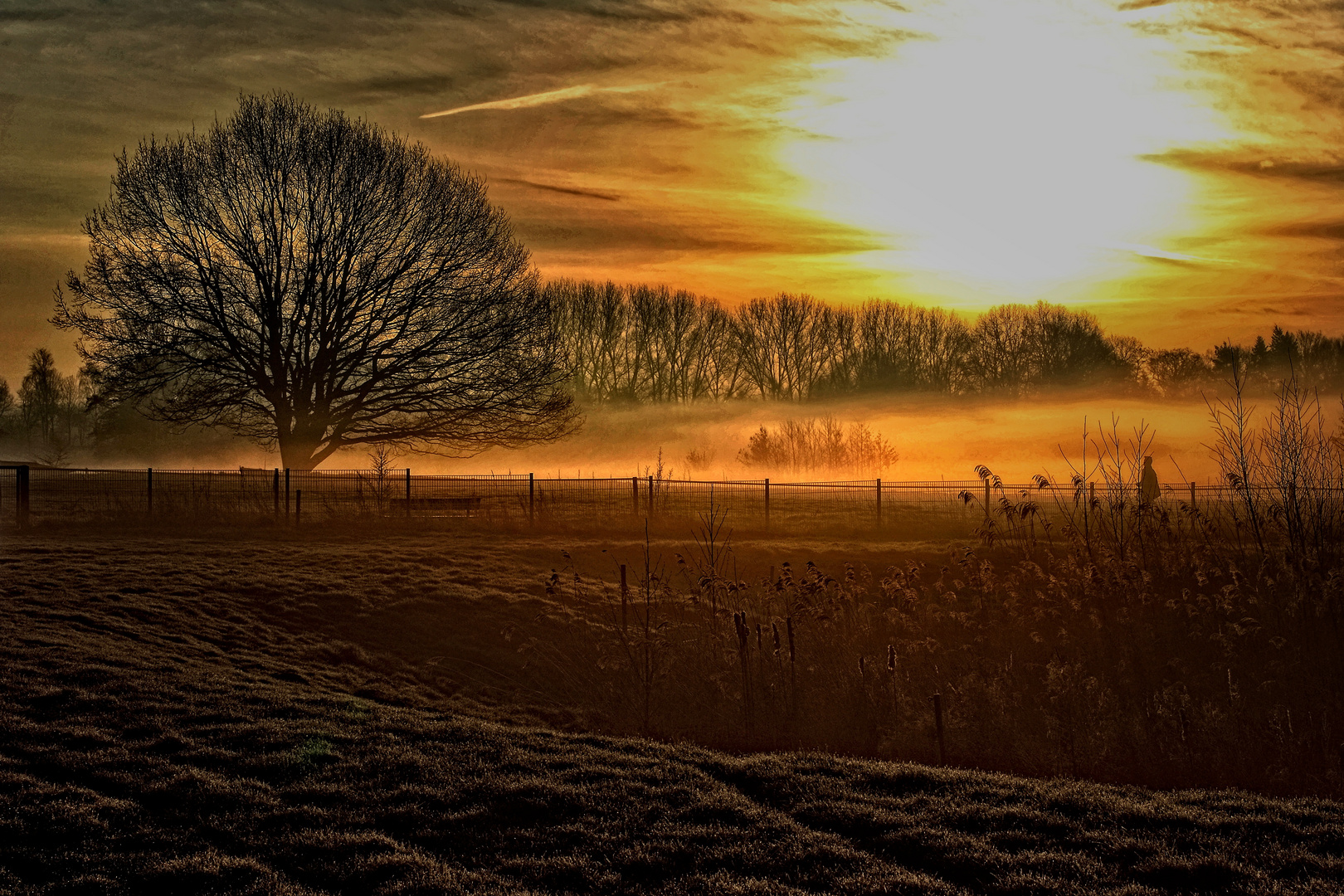 morgendlicher Nebel über den Feuchtwiesen der Aa (Borken-Gemen) - Neubearbeitung