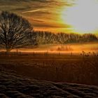 morgendlicher Nebel über den Feuchtwiesen der Aa (Borken-Gemen) - Neubearbeitung