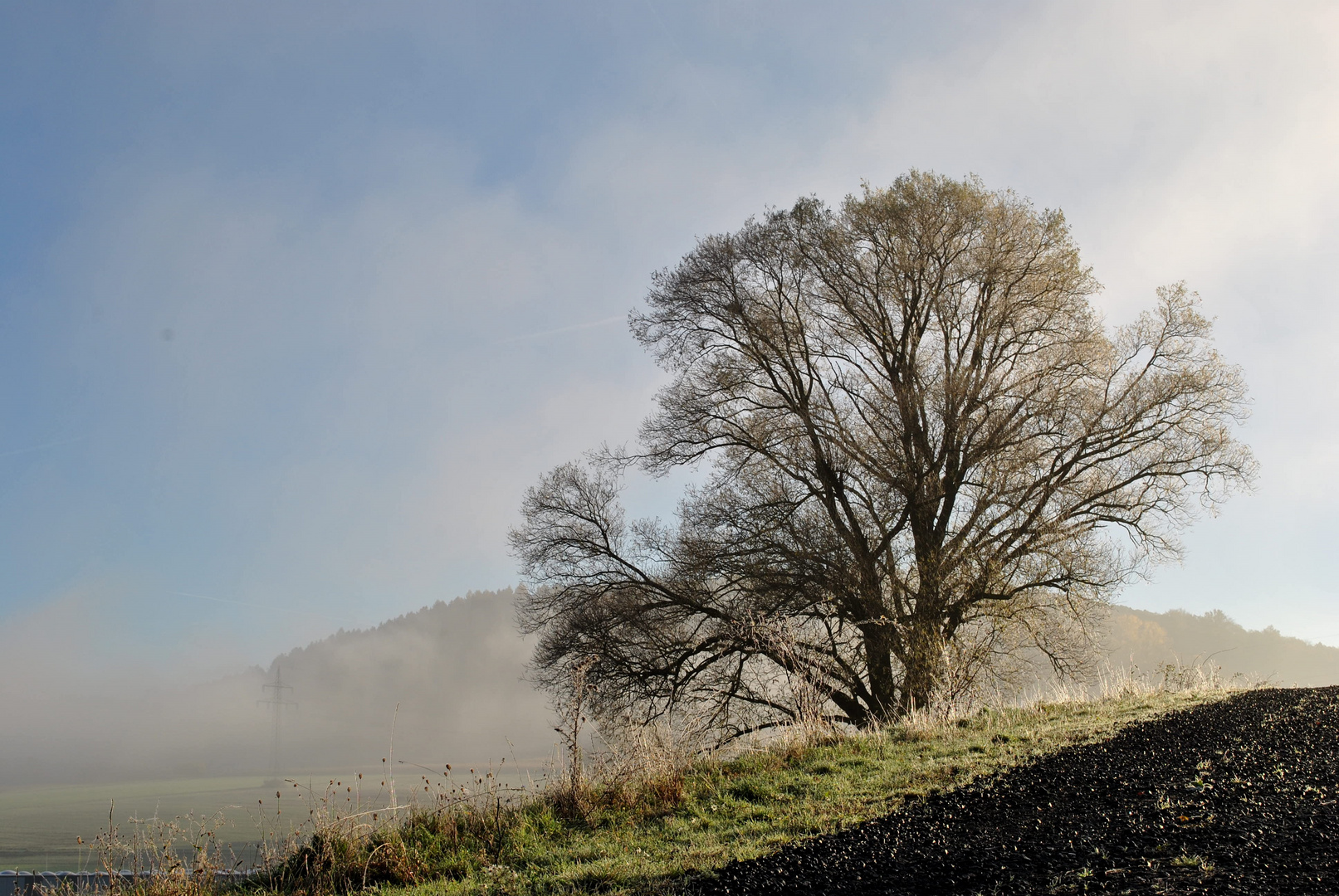 Morgendlicher Nebel und Frost