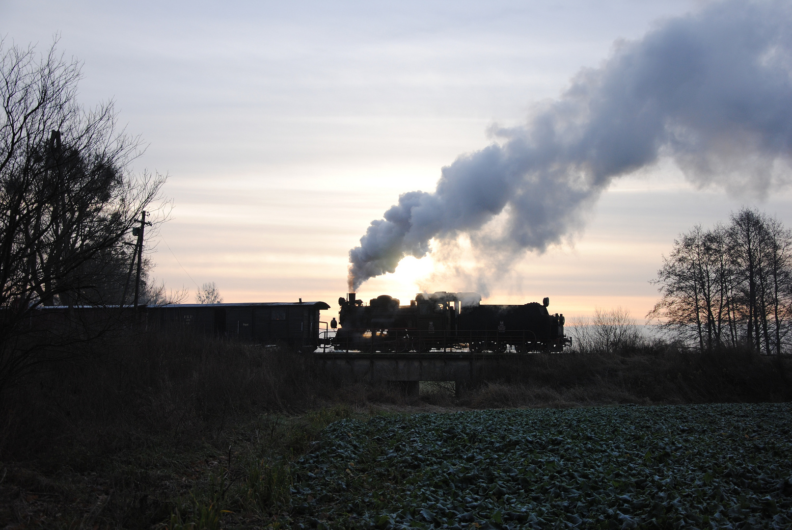 morgendlicher Ng in Snieciska