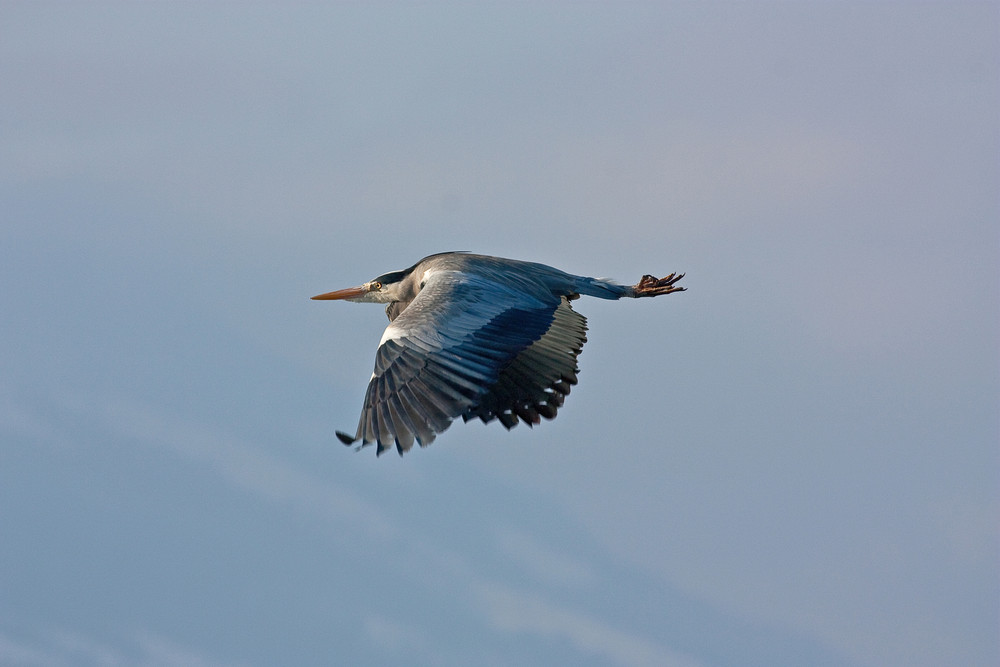 Morgendlicher Rundflug