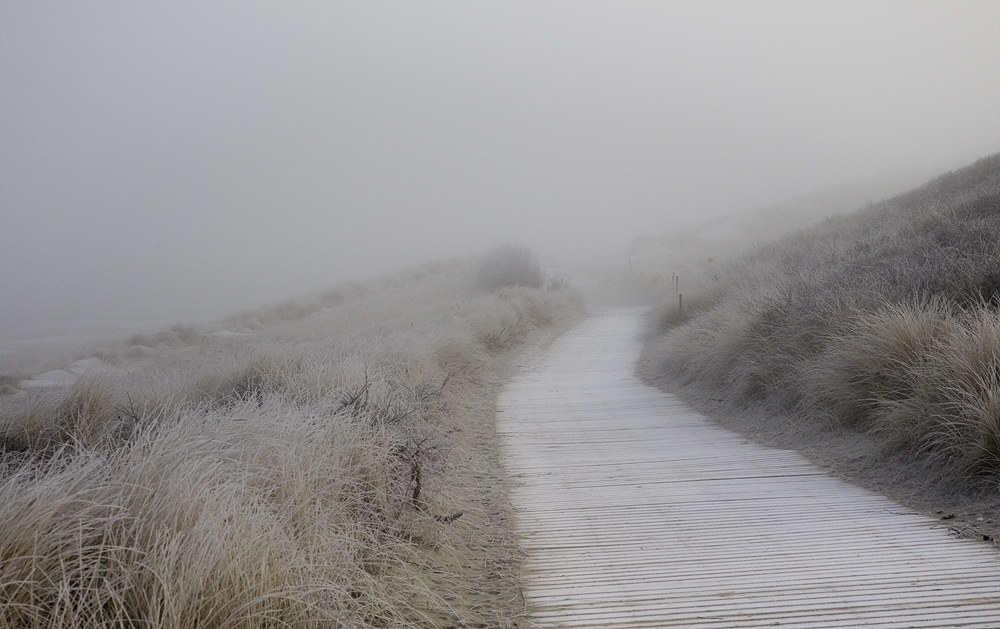 Morgendlicher Schleier