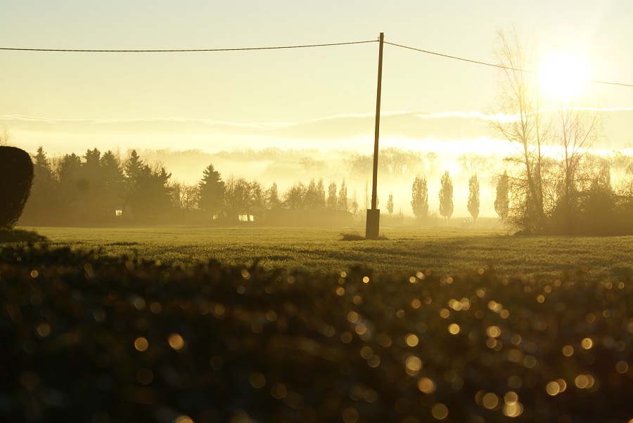 Morgendlicher Sonnenschein