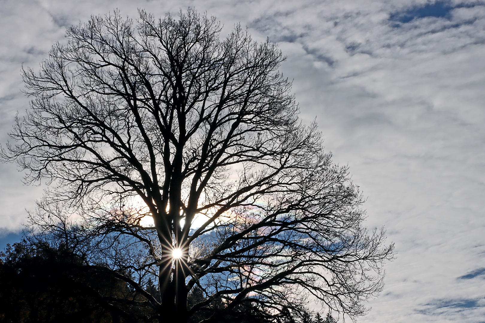 Morgendlicher Sonnenstern am Wolkenhimmel