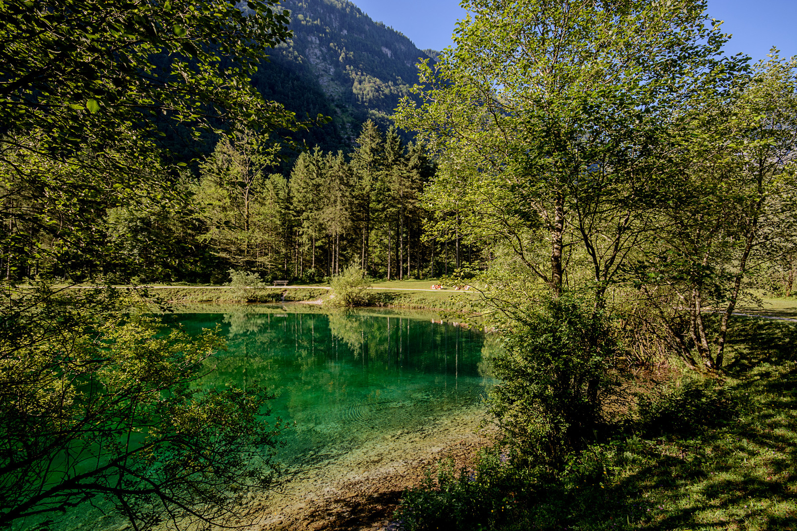 Morgendlicher Spaziergang