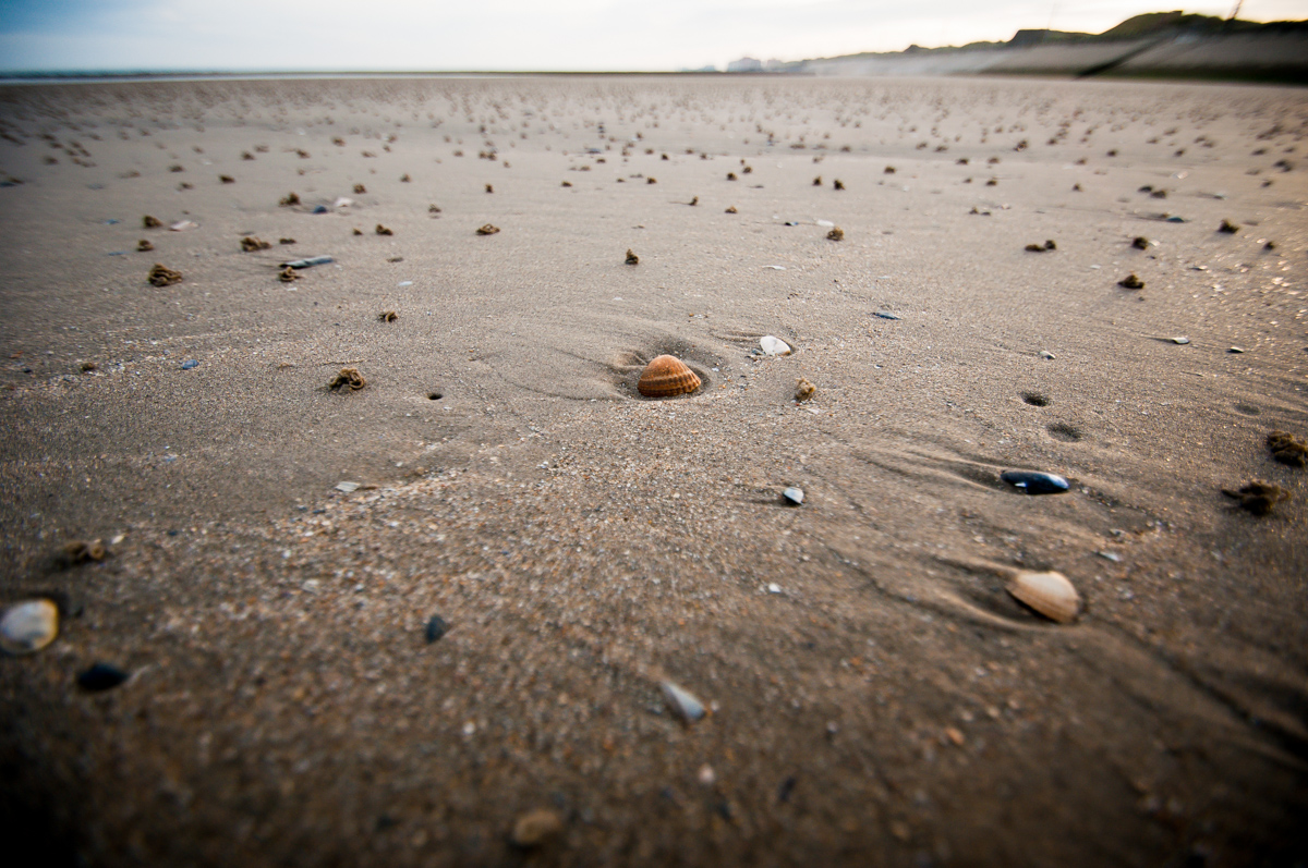 Morgendlicher Spaziergang am Oostender Strand...