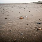 Morgendlicher Spaziergang am Oostender Strand...