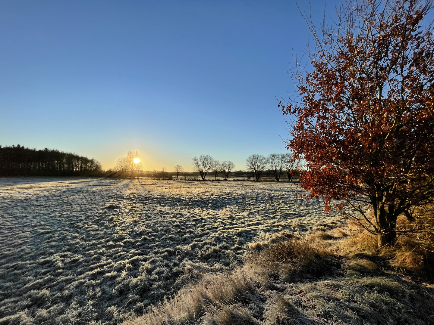 Morgendlicher Spaziergang 