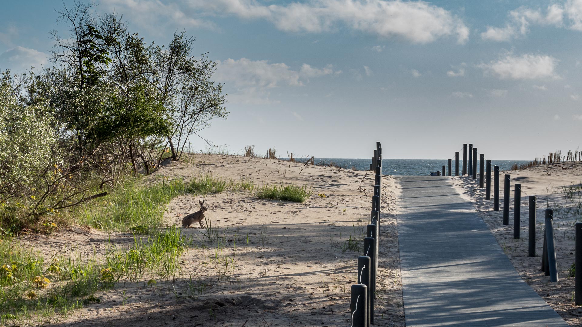 Morgendlicher Strandgang