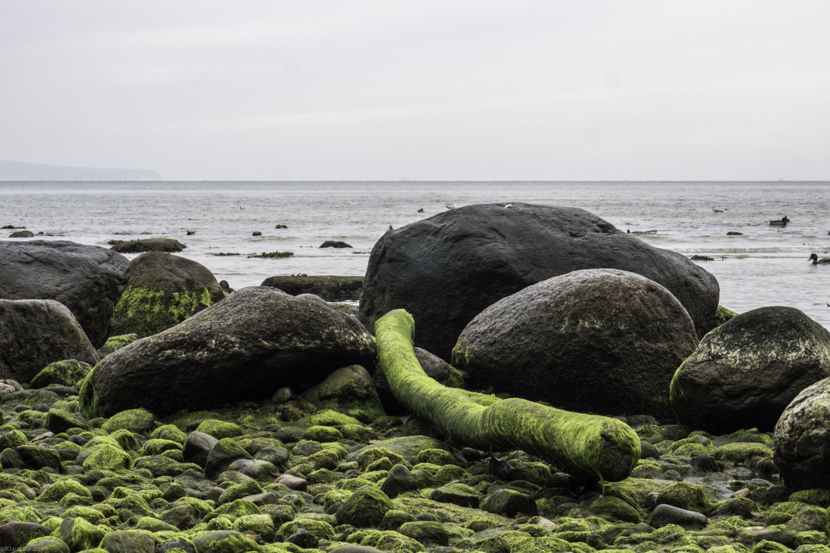 Morgendlicher Strandspaziergang