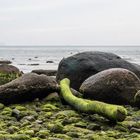 Morgendlicher Strandspaziergang