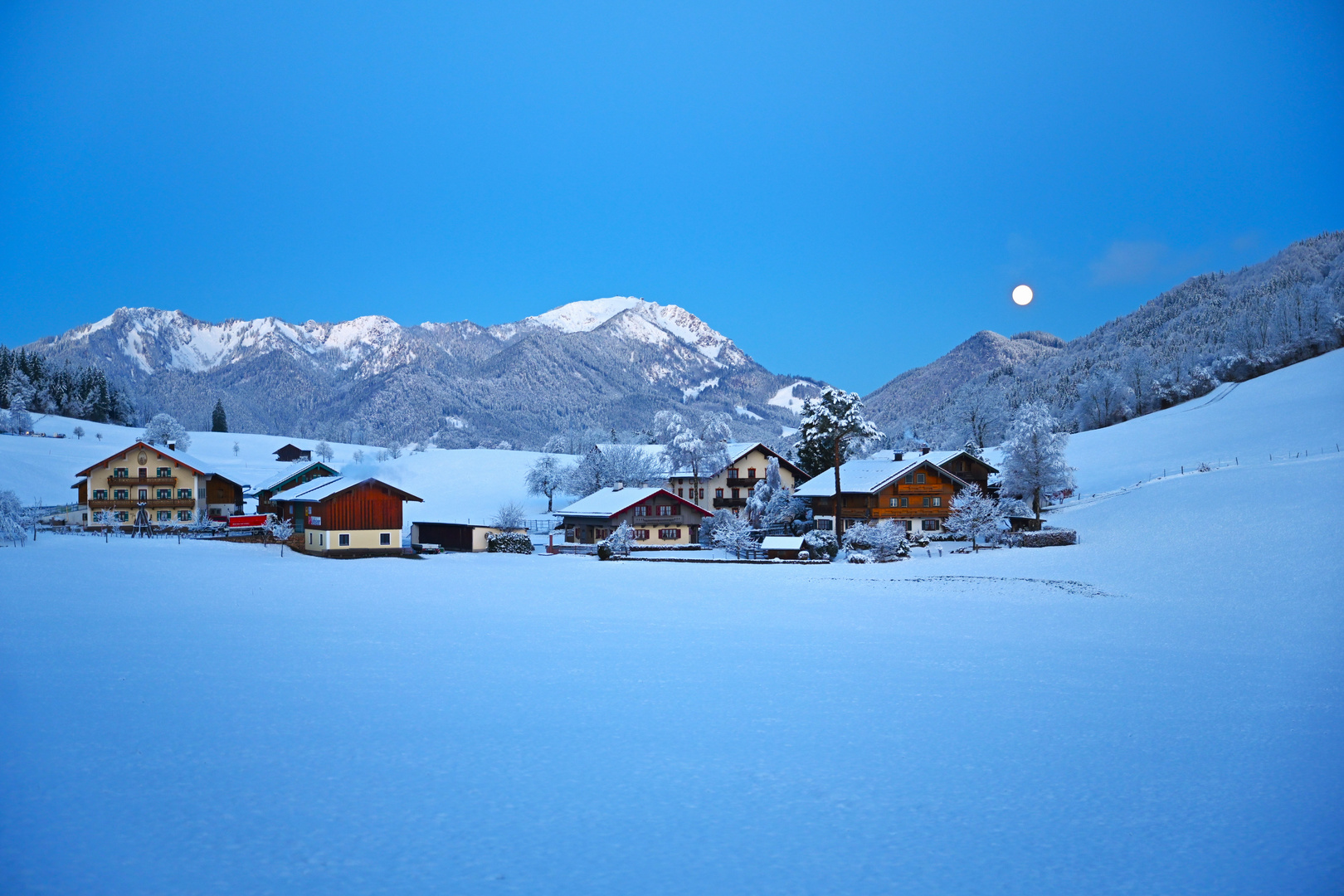 Morgendlicher Vollmond