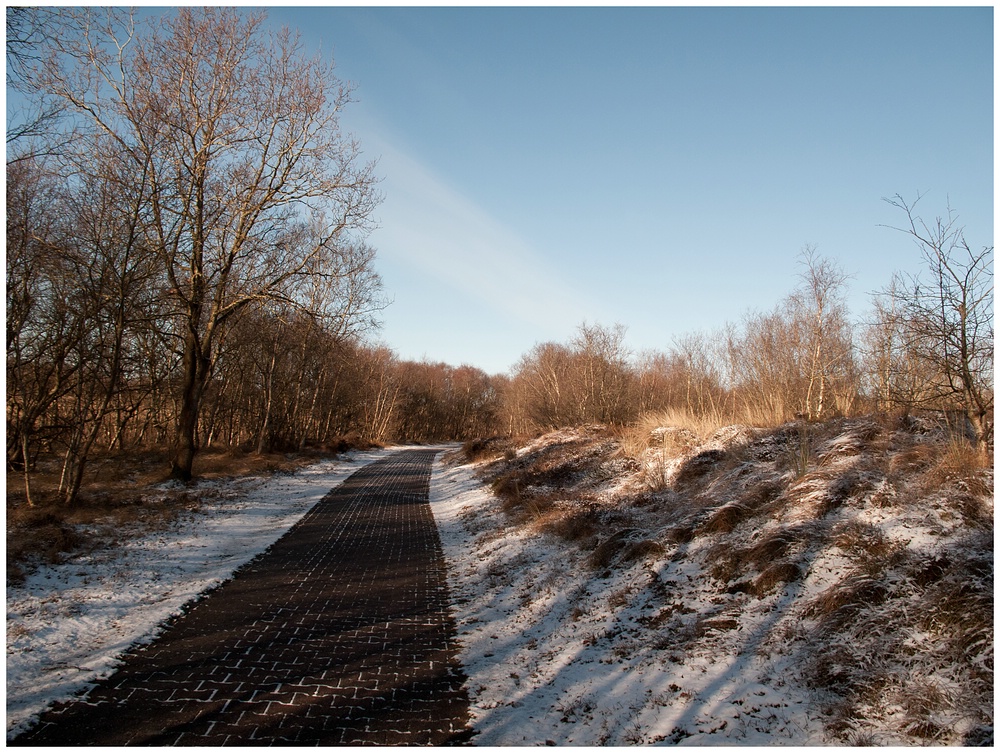 Morgendlicher Weg