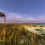 Morgendlicher Windflücher