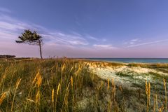 Morgendlicher Windflücher