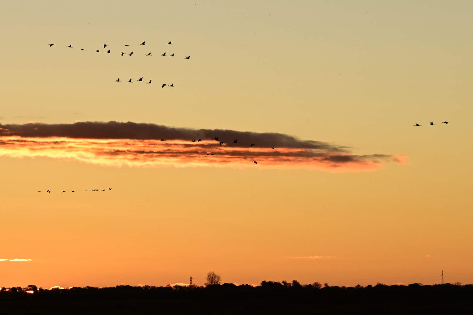 Morgendlicher Zauber