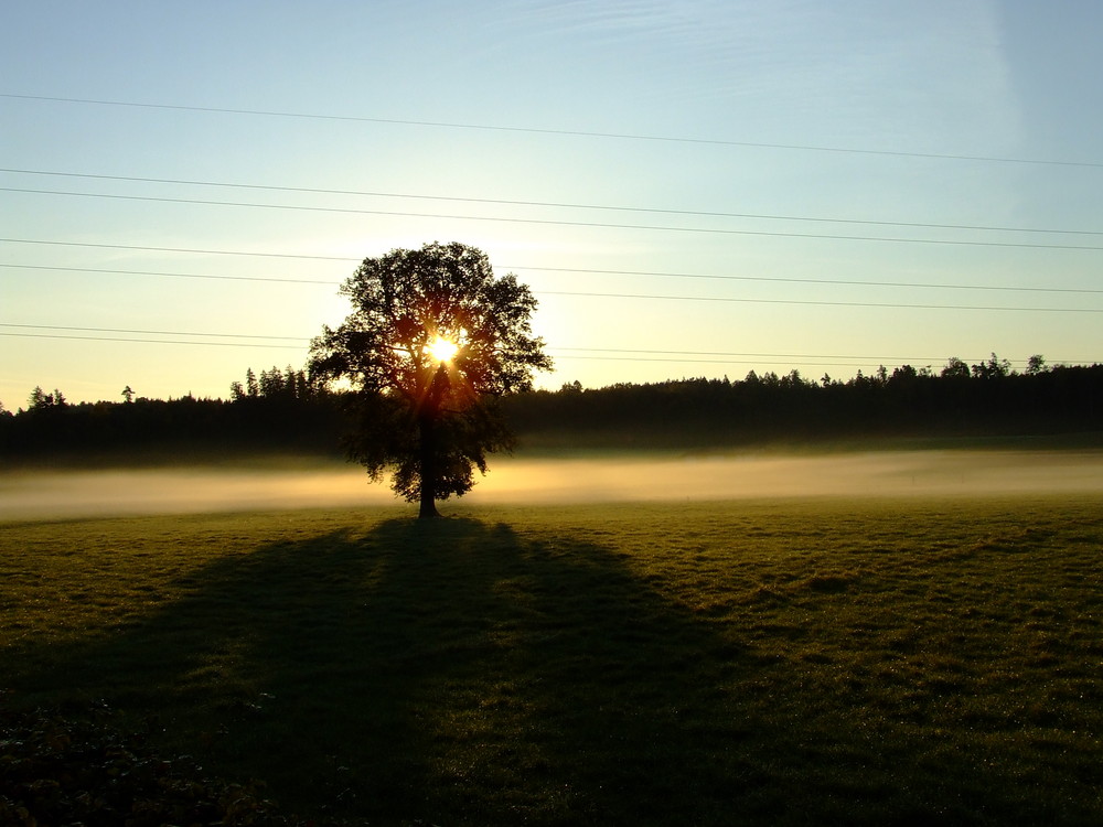 Morgendliches erwachen