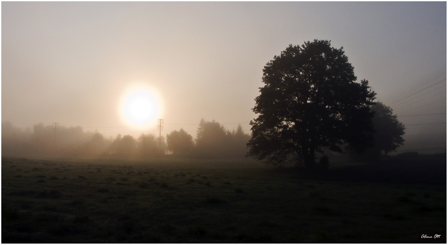 " morgendliches Erwachen "