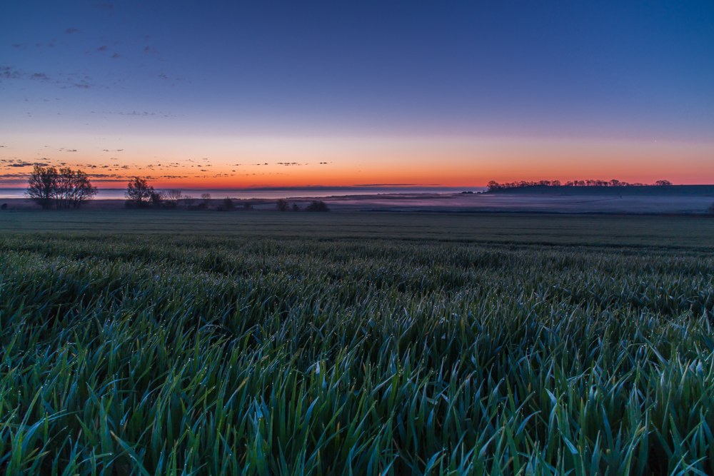 Morgendliches Farbenspiel