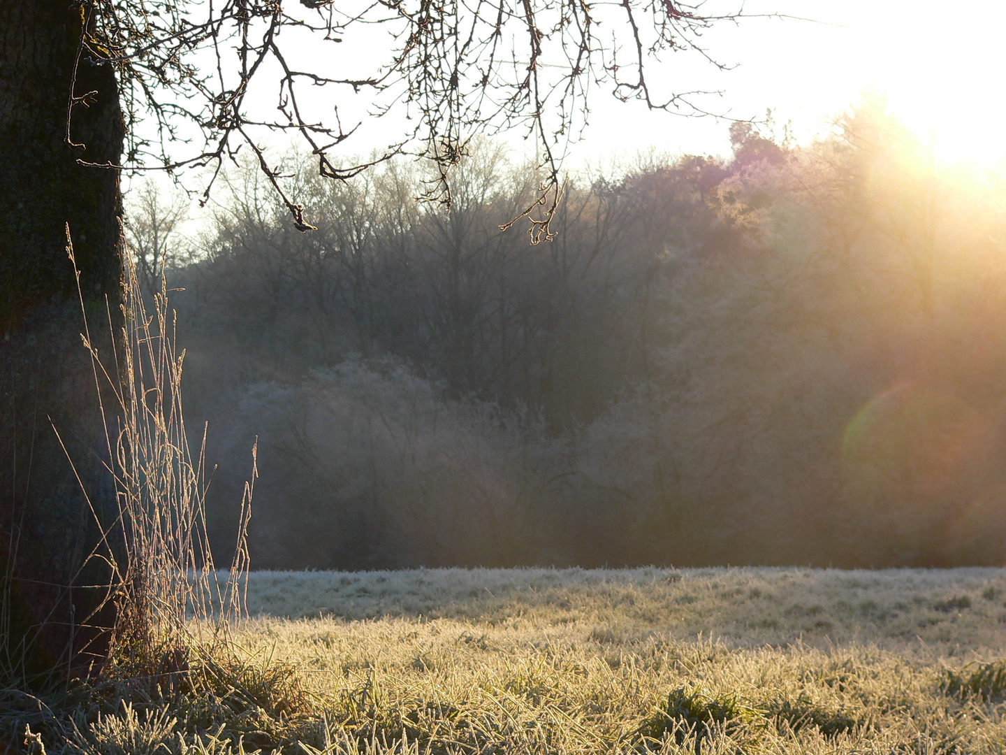 Morgendliches Frostwetter