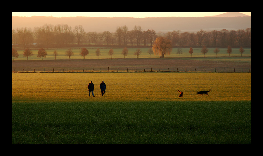 morgendliches Gassi gehen...