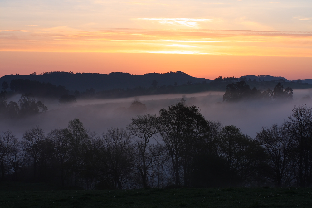 Morgendliches Shooting