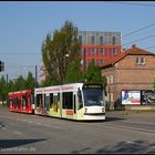 Morgendliches "Sommerfoto"