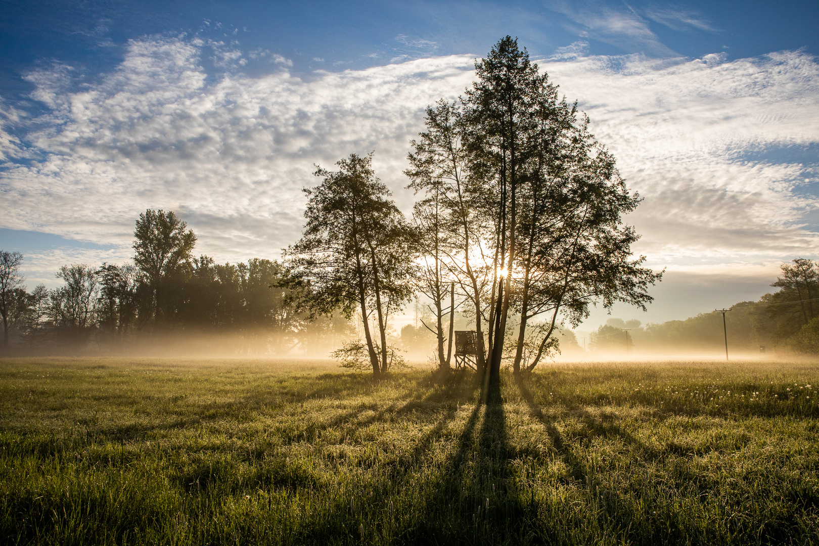 Morgendliches Sonnenbad