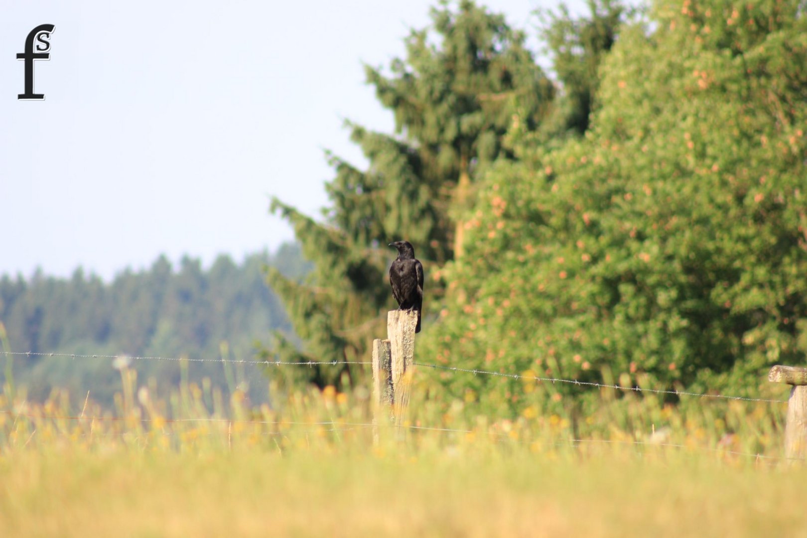 Morgendliches Sonnentanken