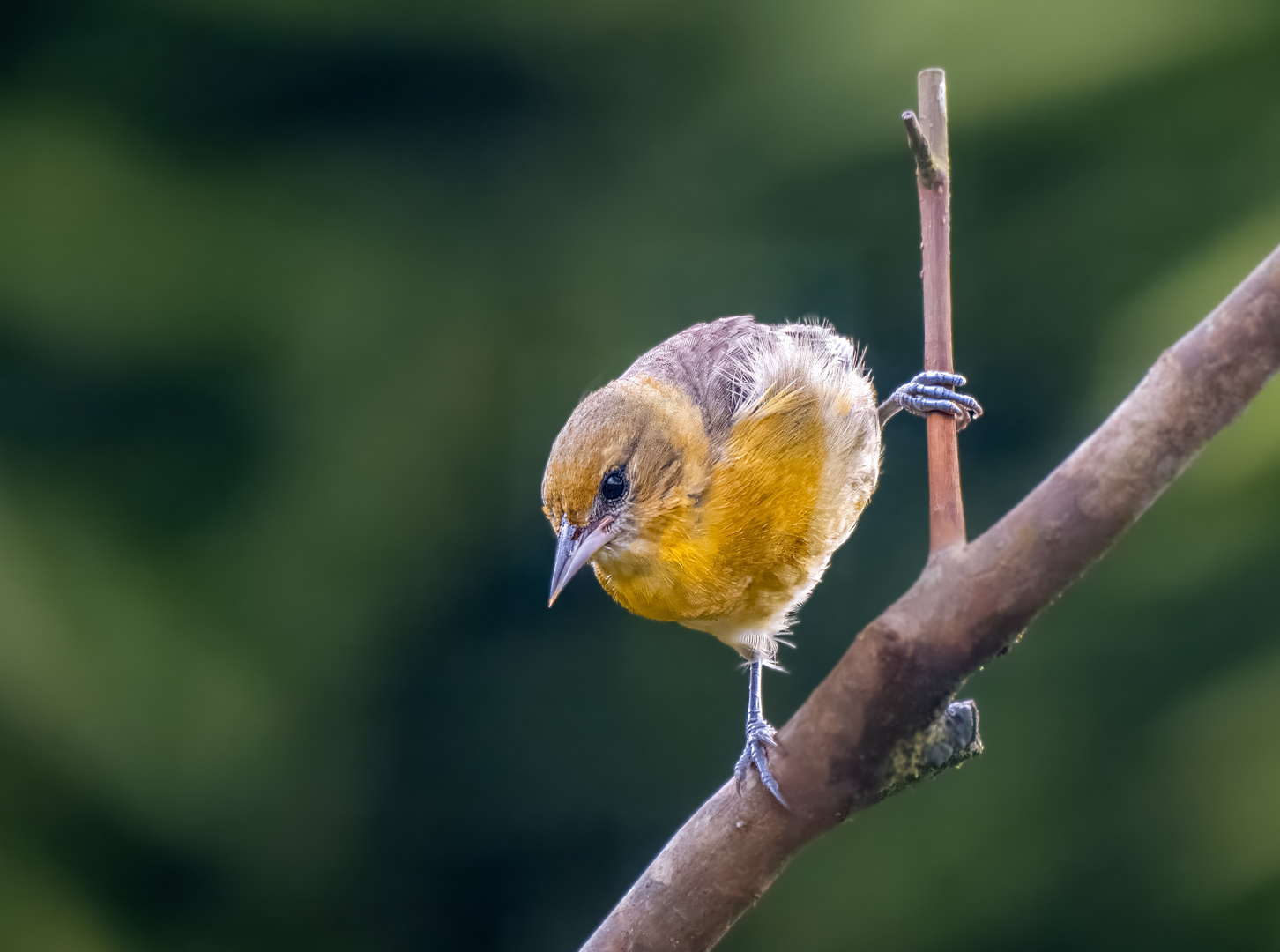 Morgendliches Stretching